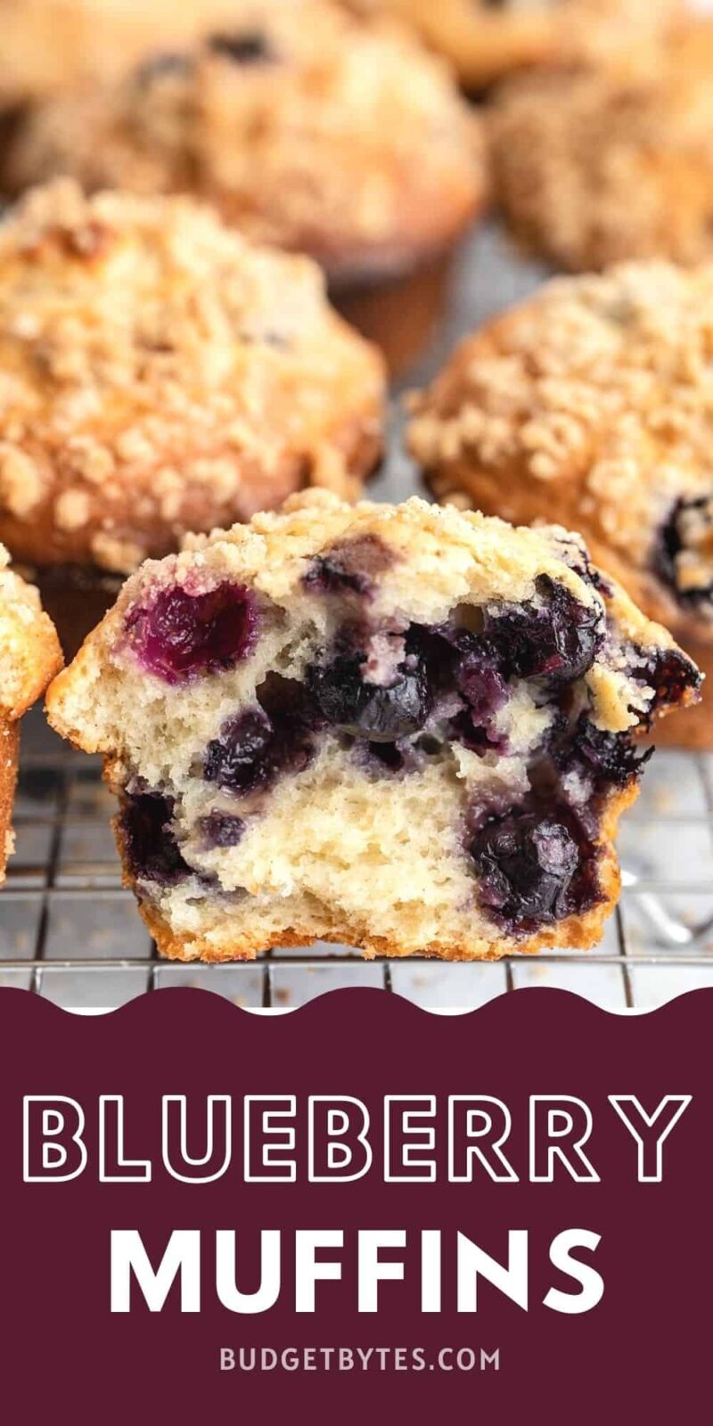 Front view of a blueberry muffin torn in half.