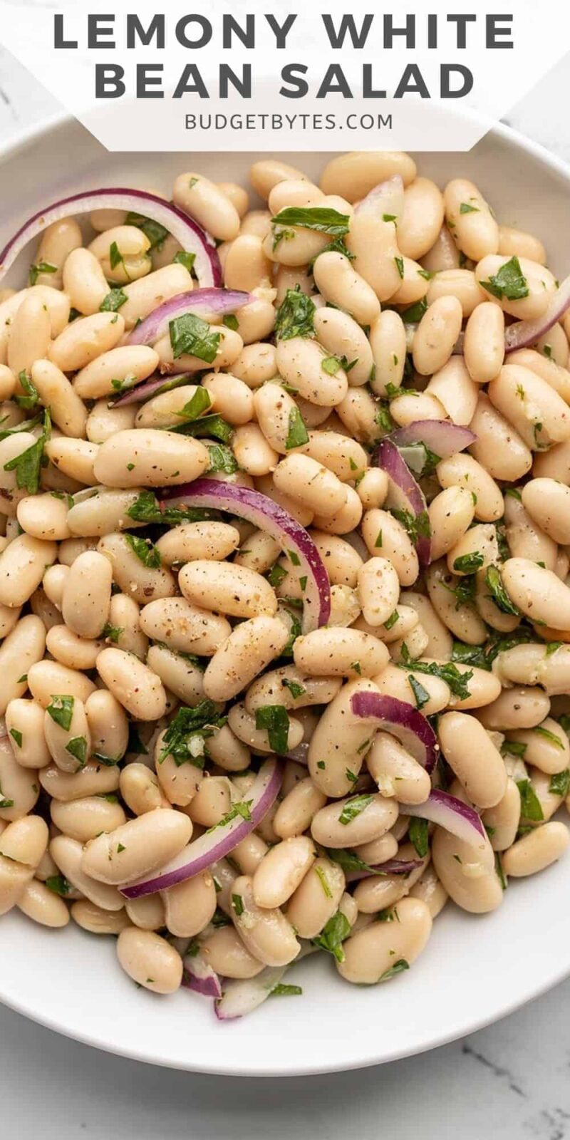 Close up overhead view of a bowl of white bean salad.