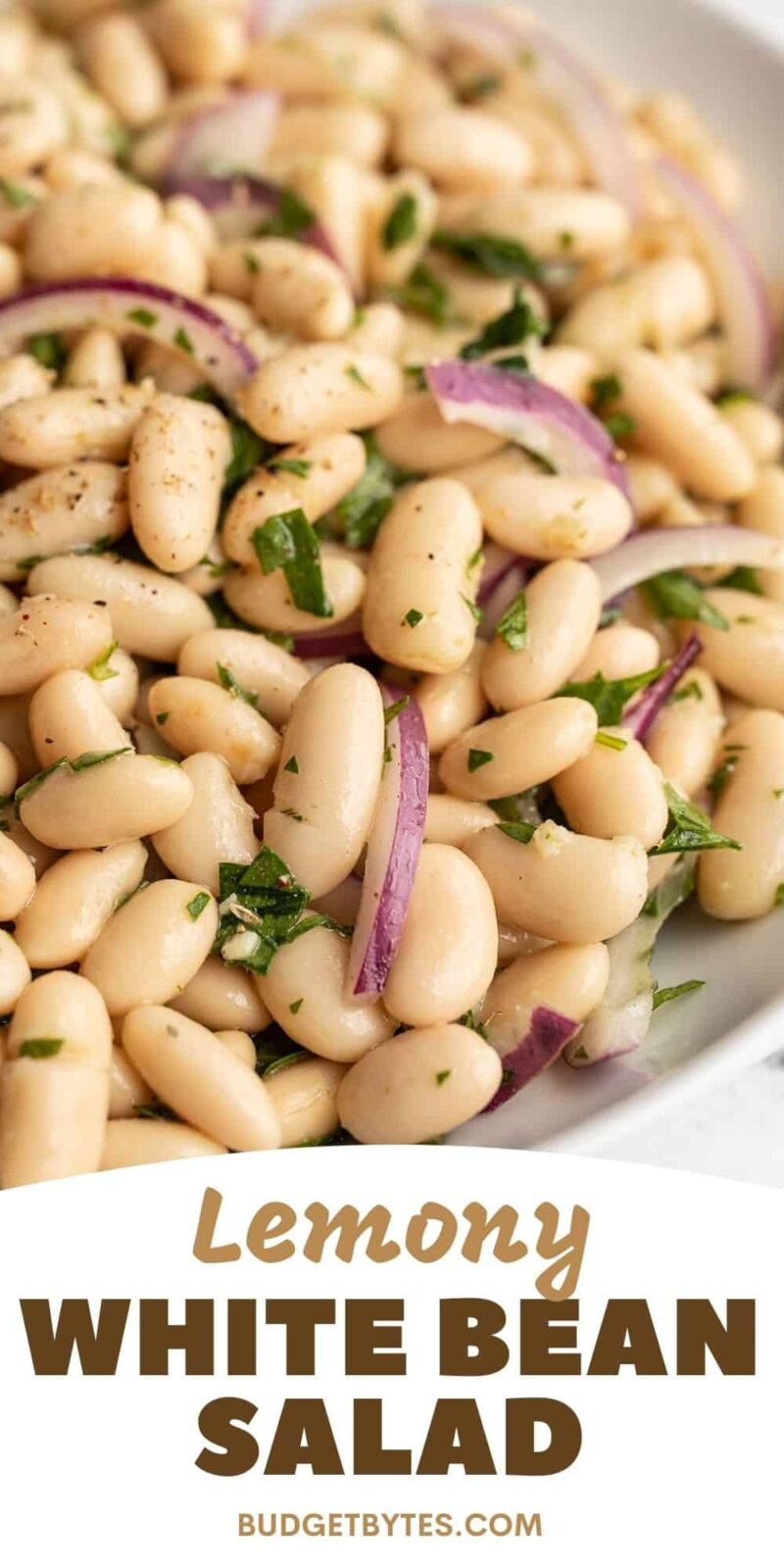 Close up side view of lemony white bean salad in a bowl.