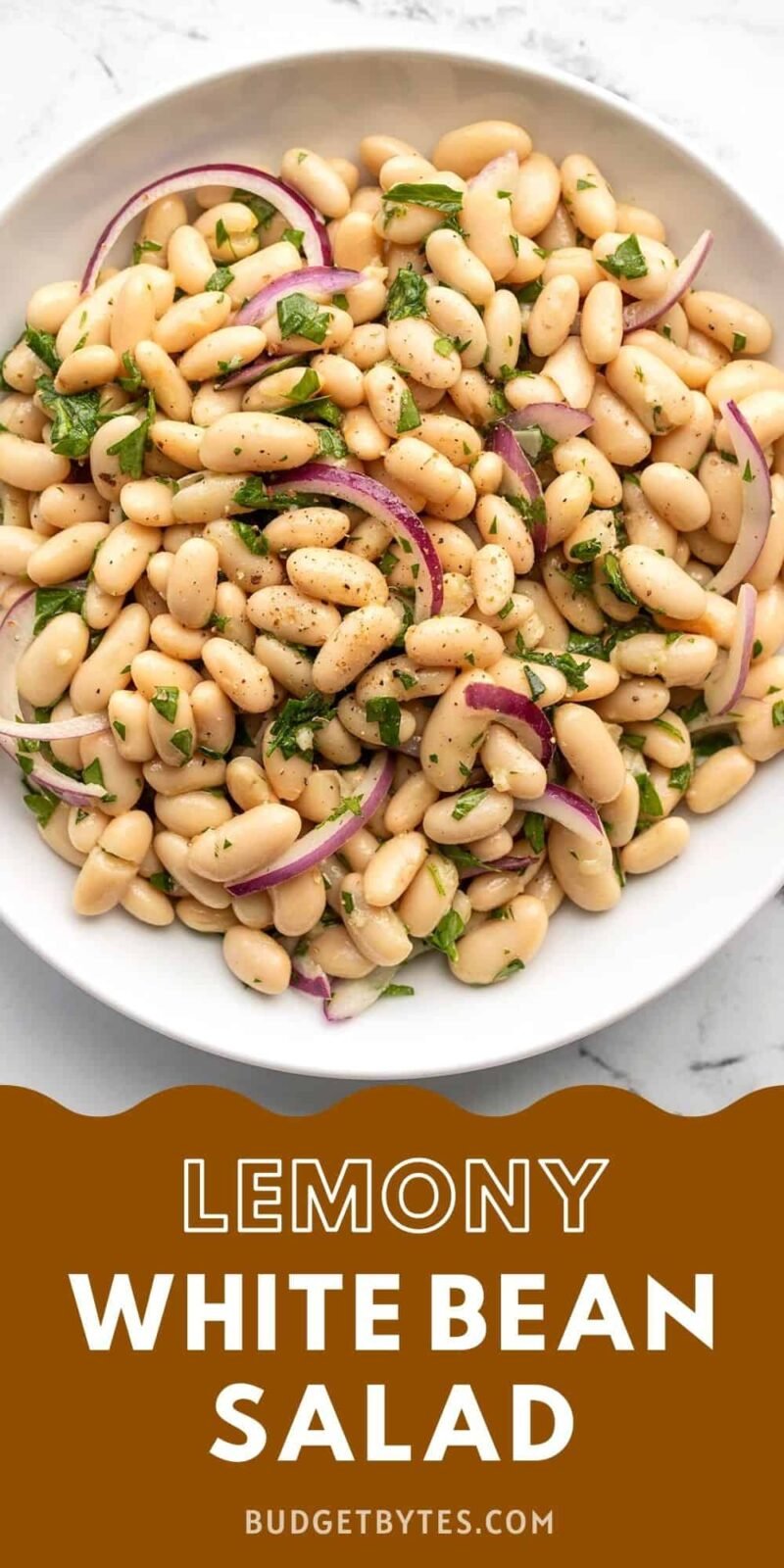 Overhead view of a bowl of lemony white bean salad.