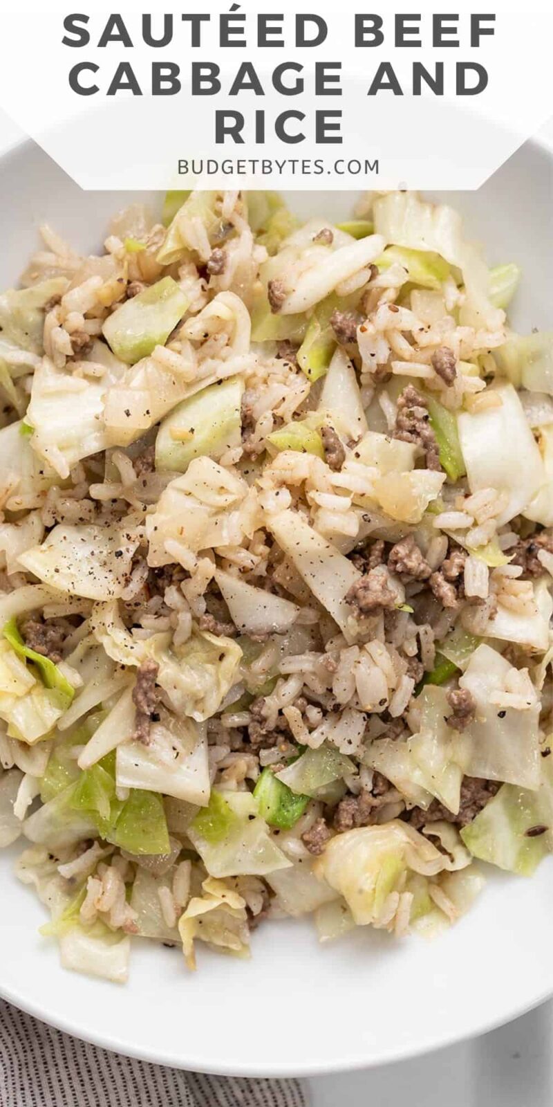 Close up overhead view of a bowl full of beef, cabbage, and rice.