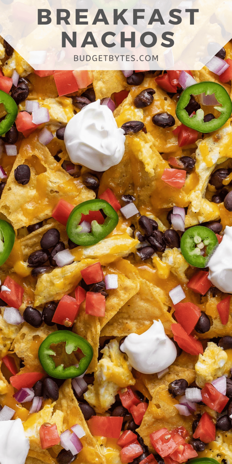 Close up overhead view of breakfast nachos.