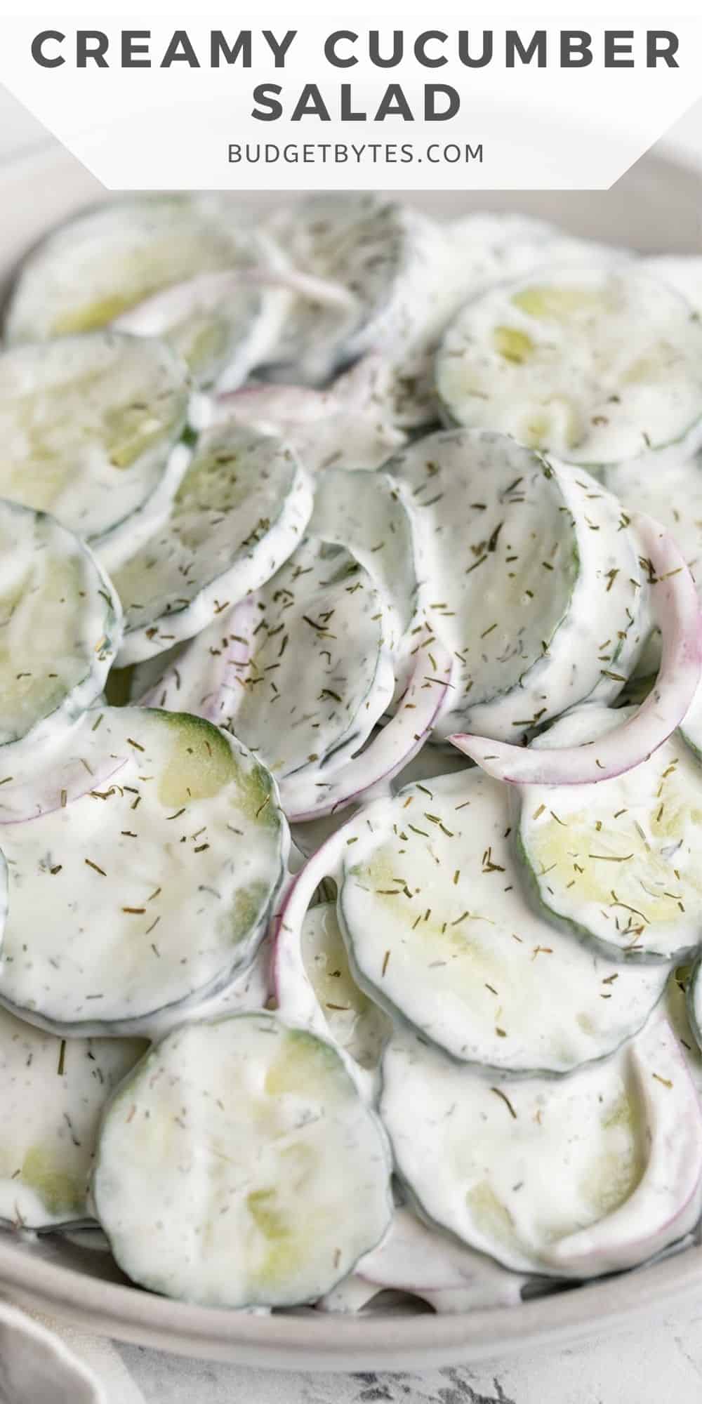 Close up side view of creamy cucumber salad.
