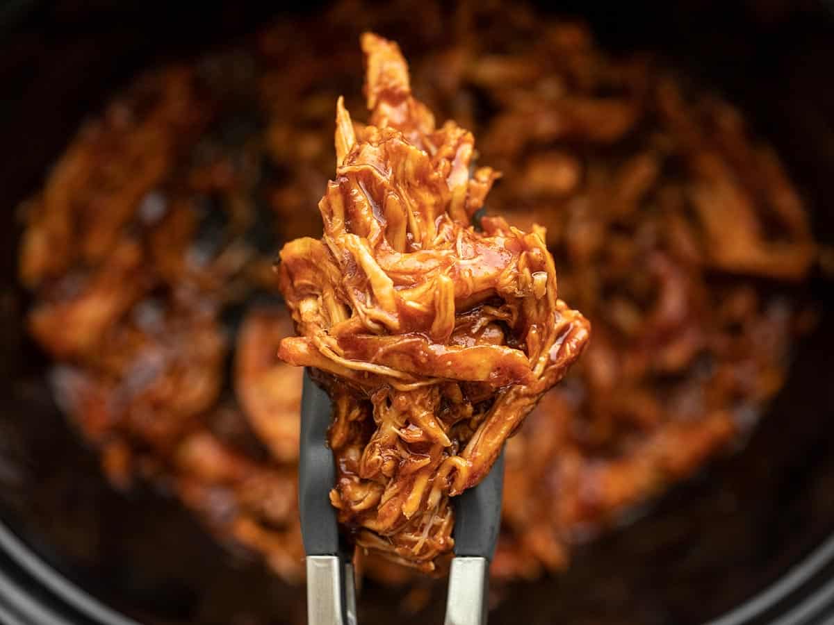 Feche de pinças segurando o frango de churrasco puxado.