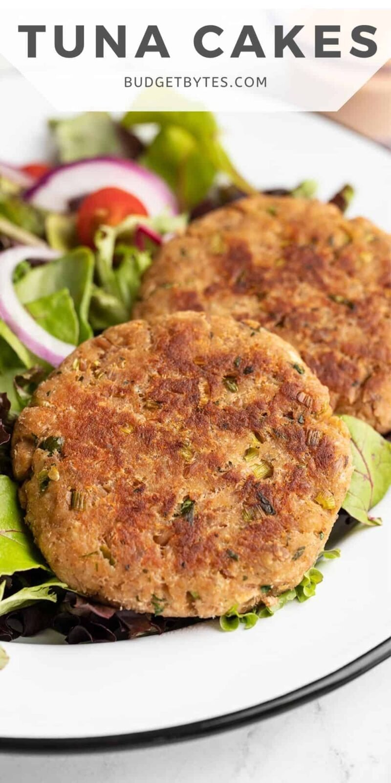 Close up side view of two tuna cakes on a plate with greens