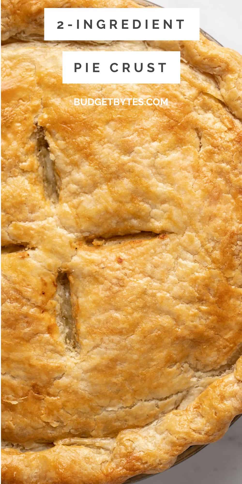 Easy 3-Ingredient Pie Crust - Budget Bytes