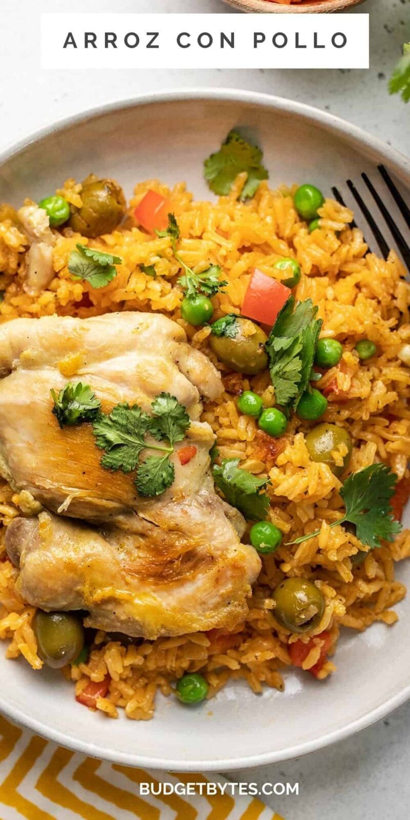 Arroz con Pollo