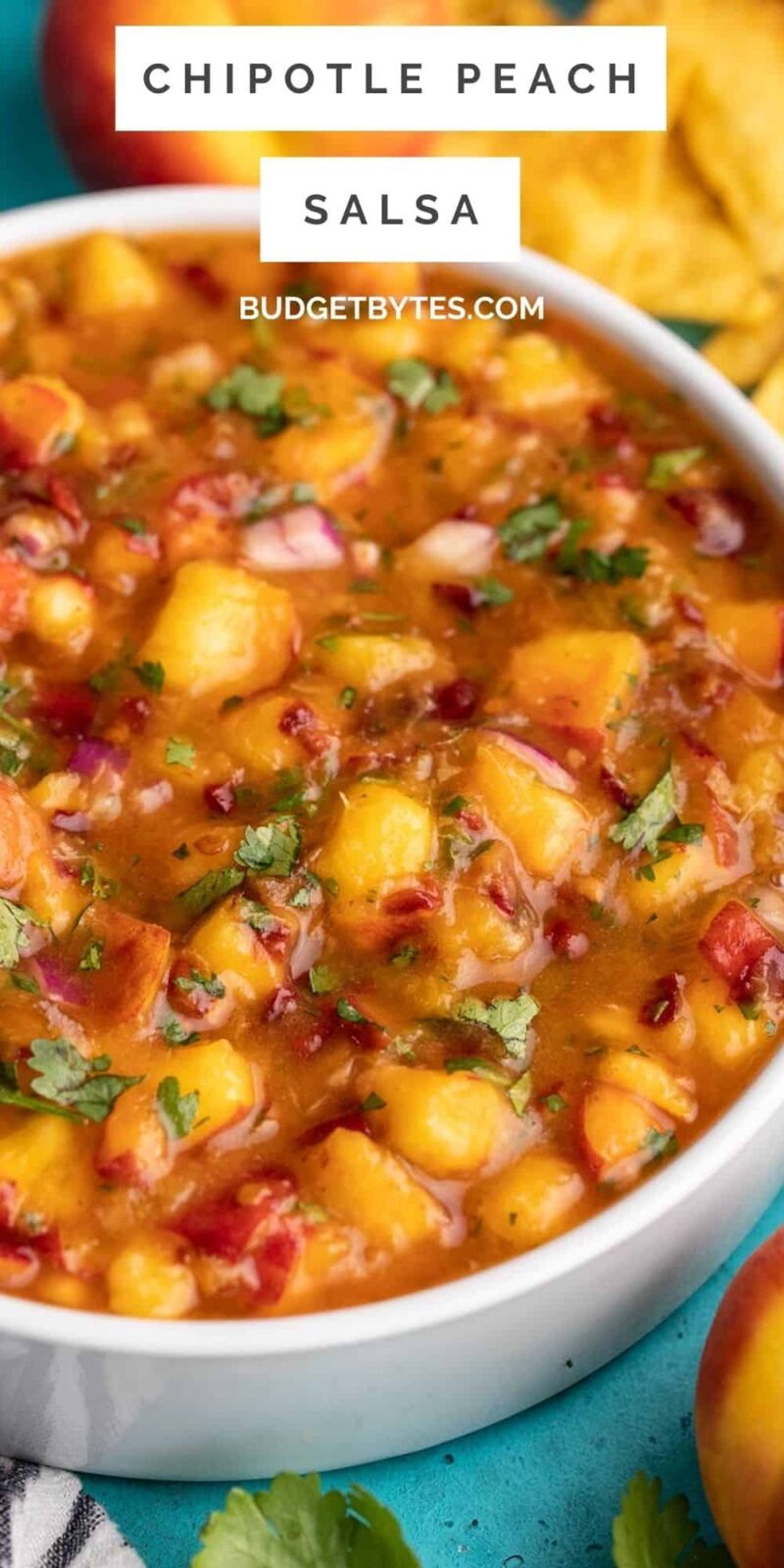 Side view of a bowl of chipotle peach salsa.