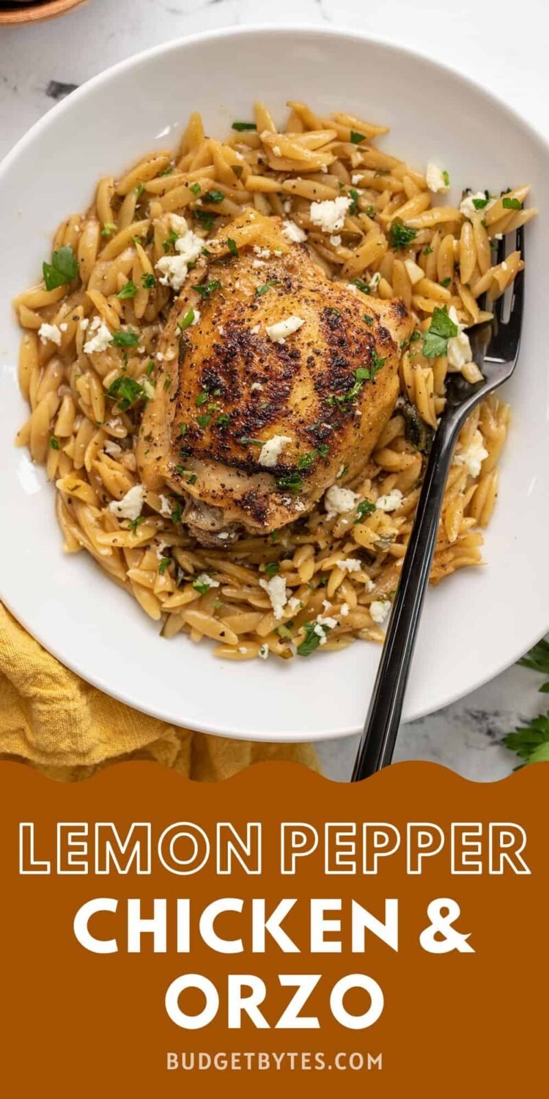 Overhead view of a bowl full of lemon pepper chicken and orzo.