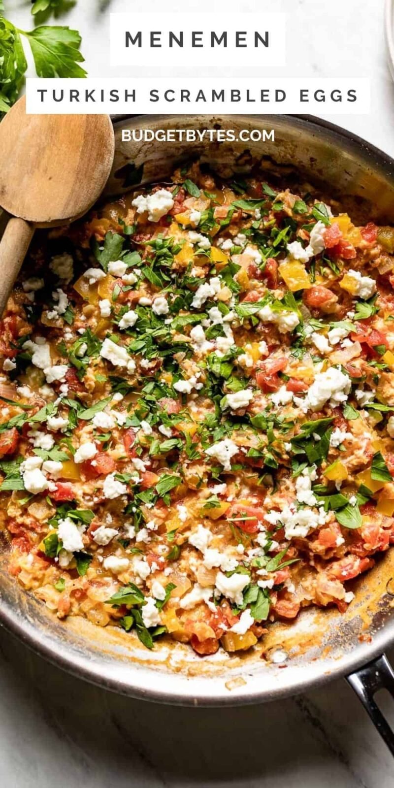 Menemen (Turkish Scrambled Eggs with Tomatoes) - Budget Bytes