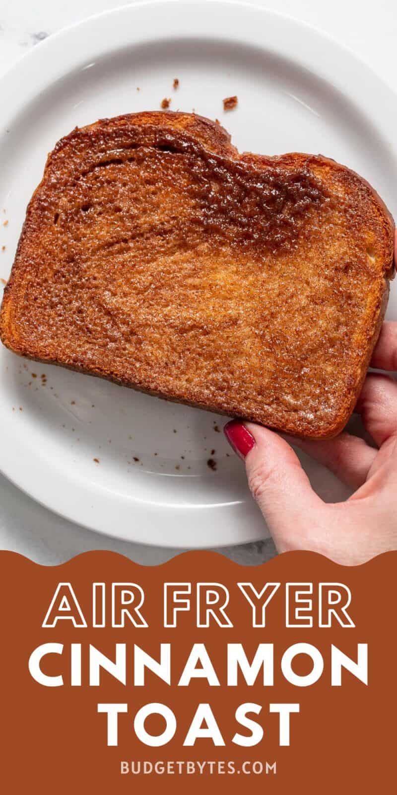 Overhead shot of hand holding cinnamon toast over a white plate.