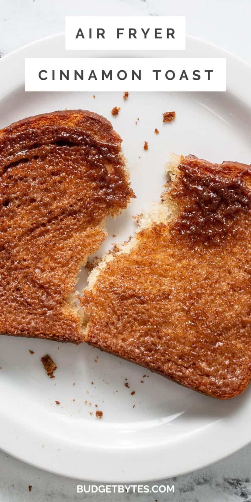 Overhead shot of ripped, air fried cinnamon toast on white plate.