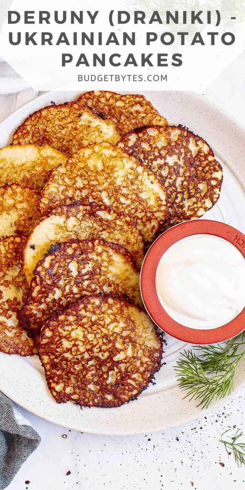 Overhead view of a plate full of potato pancakes.