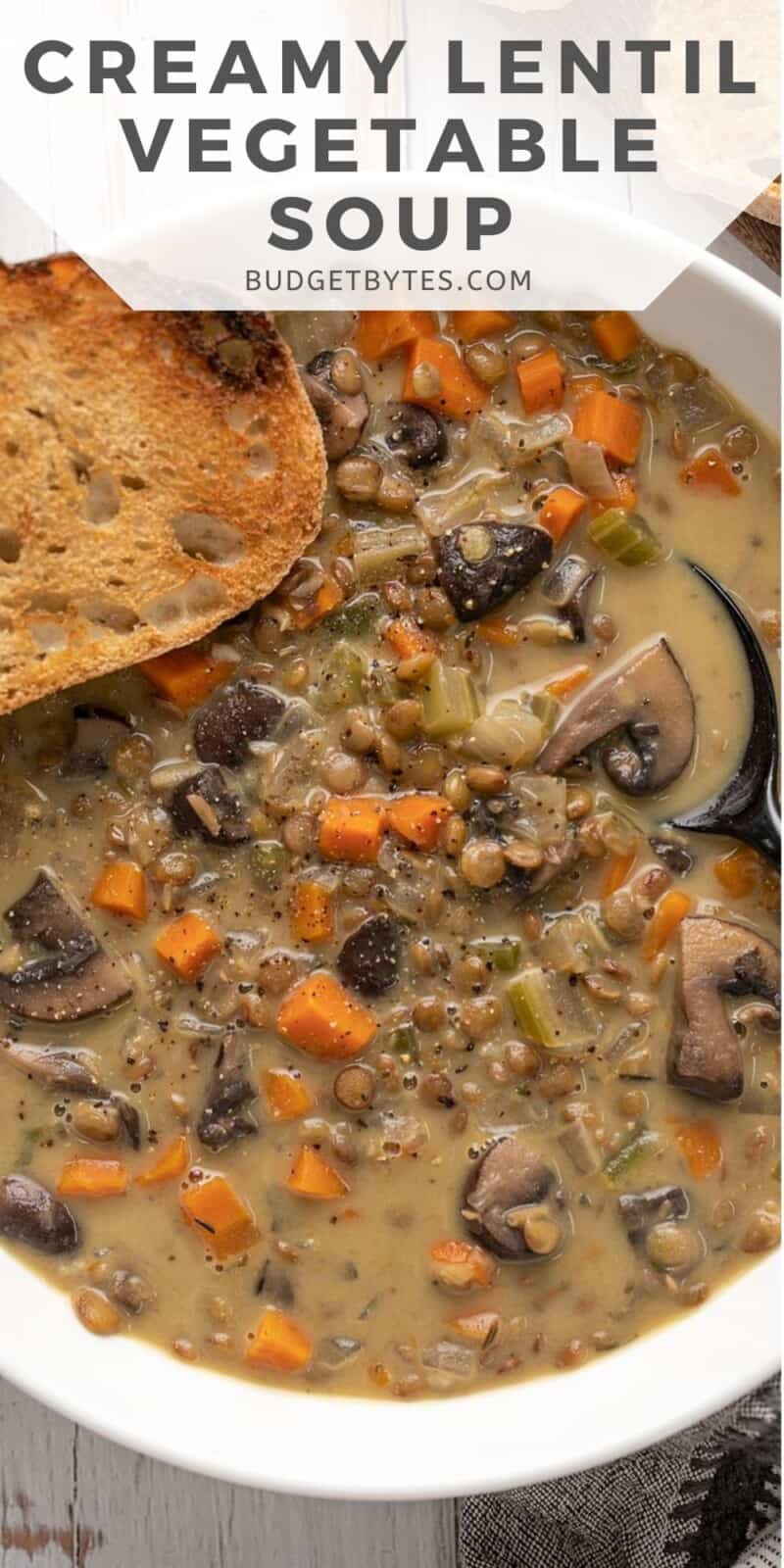 Close up overhead view of creamy lentil soup in a bowl.