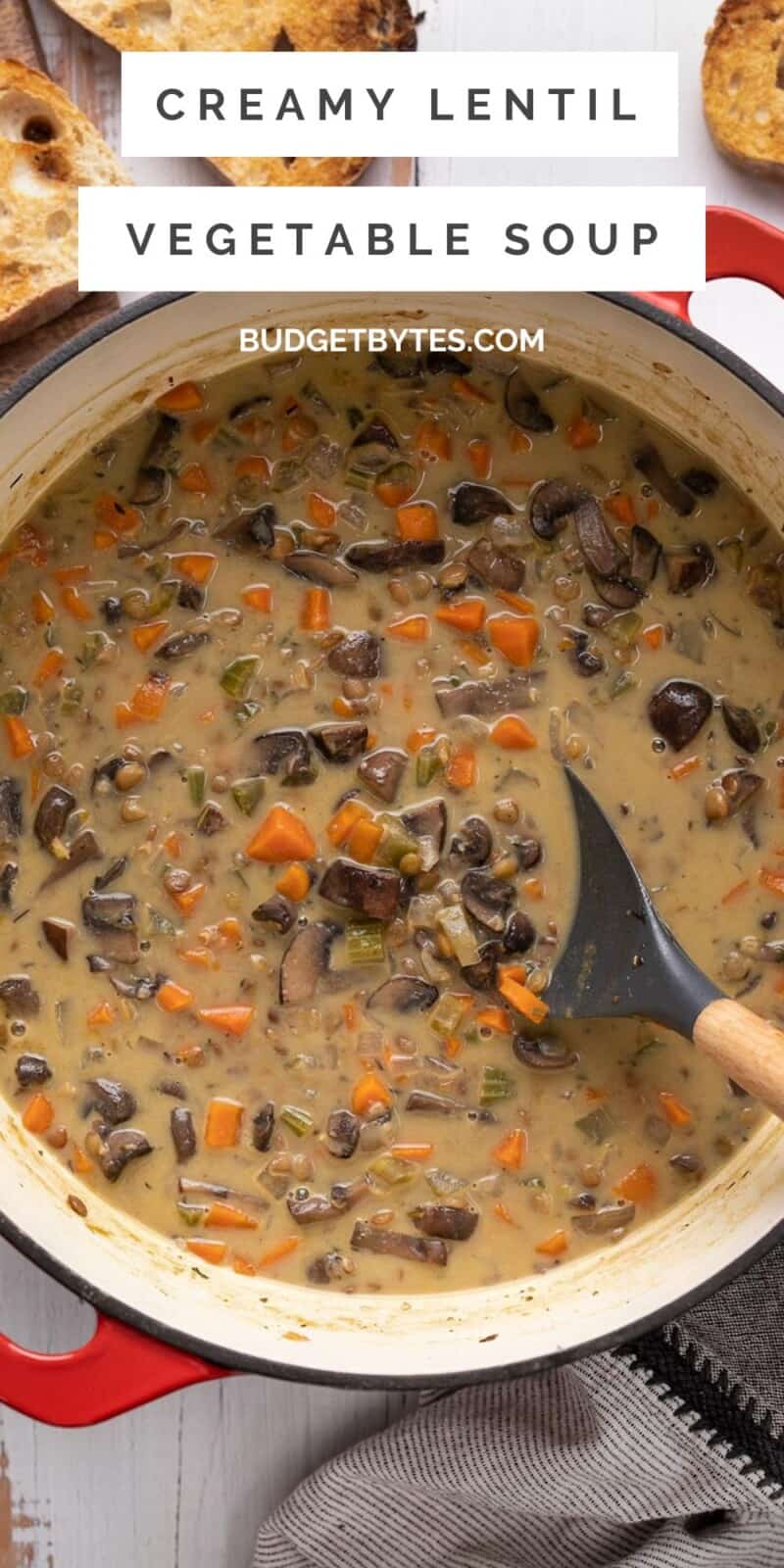 Overhead view of a pot full of creamy lentil vegetable soup.