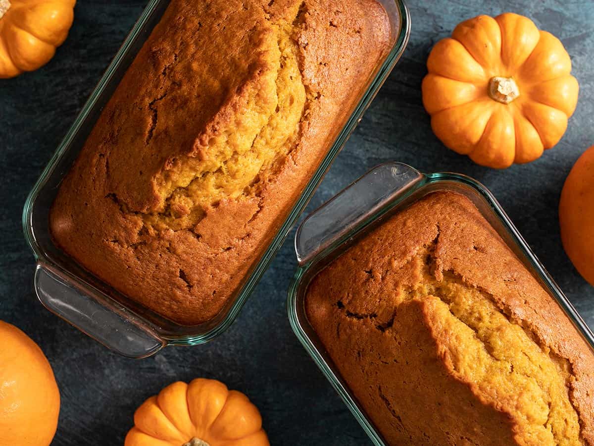 Overhead shot of pumpkin bread in a loaf pan with two mini pumpkins next to it on a dark background.