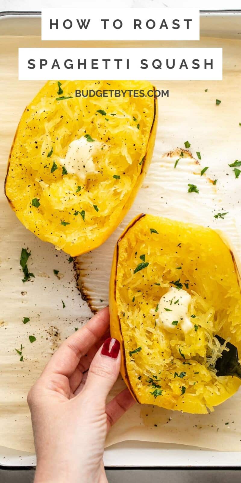 Roasted Spaghetti Squash - Budget Bytes