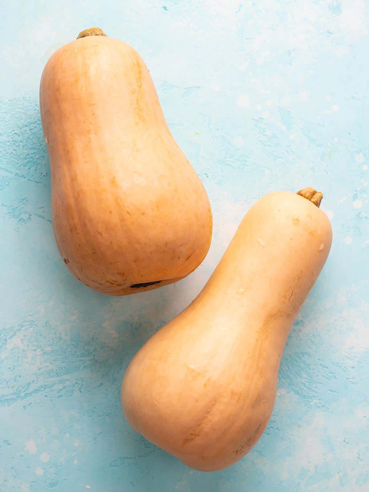 Two whole butter nut squashes on a blue background.