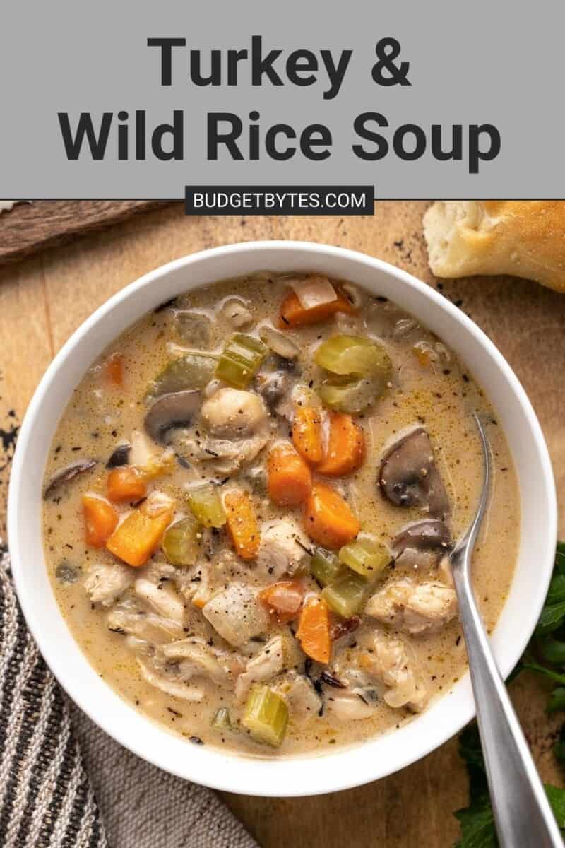 Overhead view of a bowl of turkey and wild rice soup.