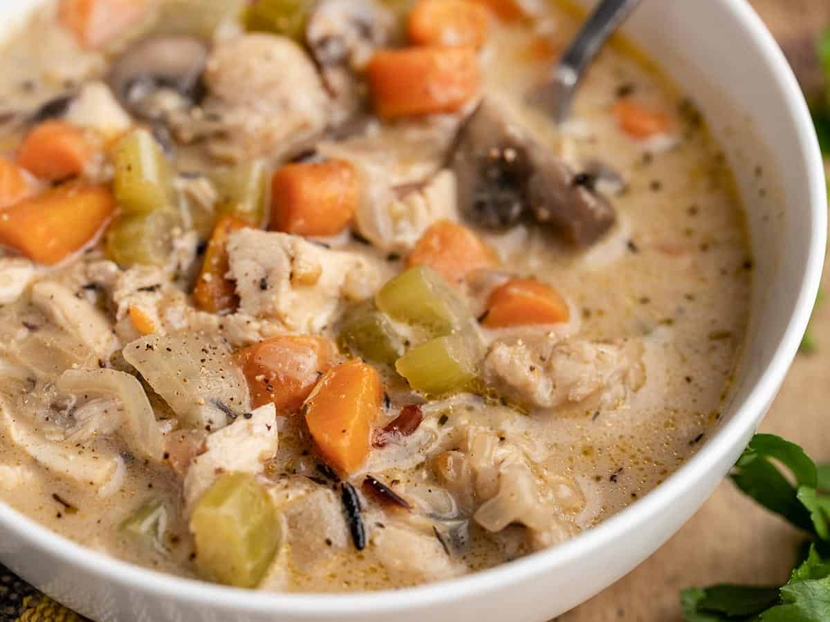 Close up side view of a bowl of turkey and wild rice soup.