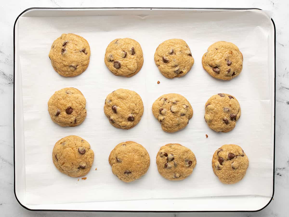 Overhead shot of of baked chocolate chip cookies.
