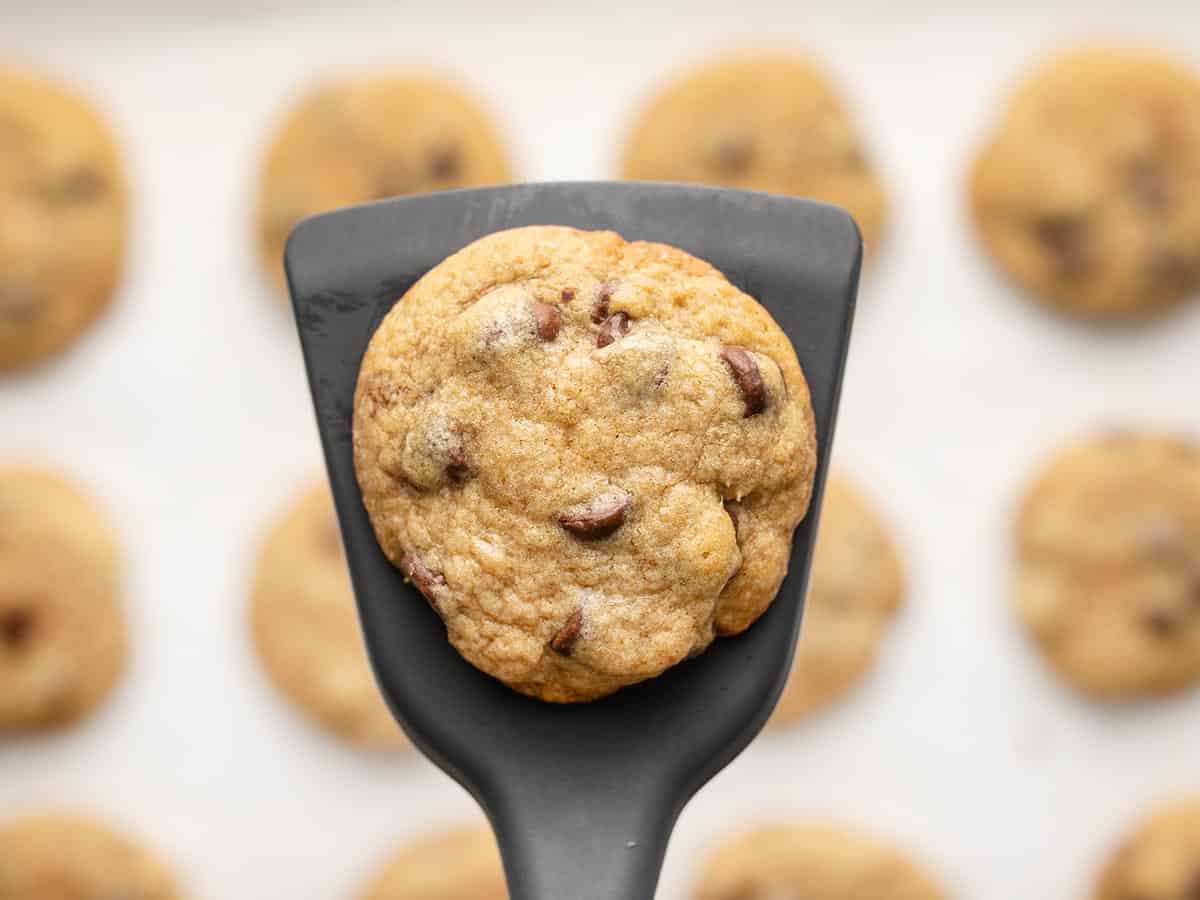 Close up of one chocolate chip cookie on a spatula. 