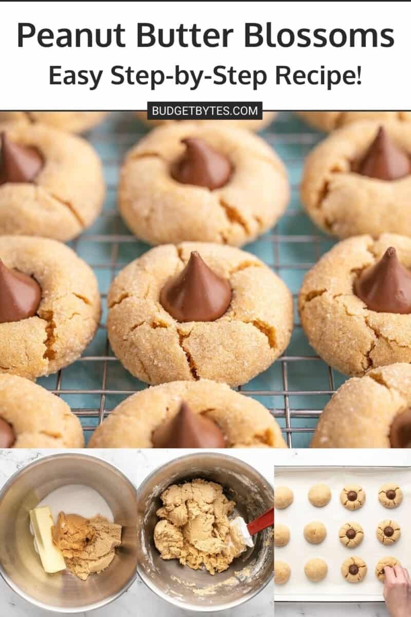 Collage of photos of peanut butter blossoms being made.