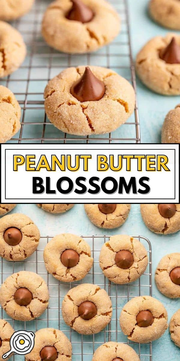 peanut butter blossoms pin image