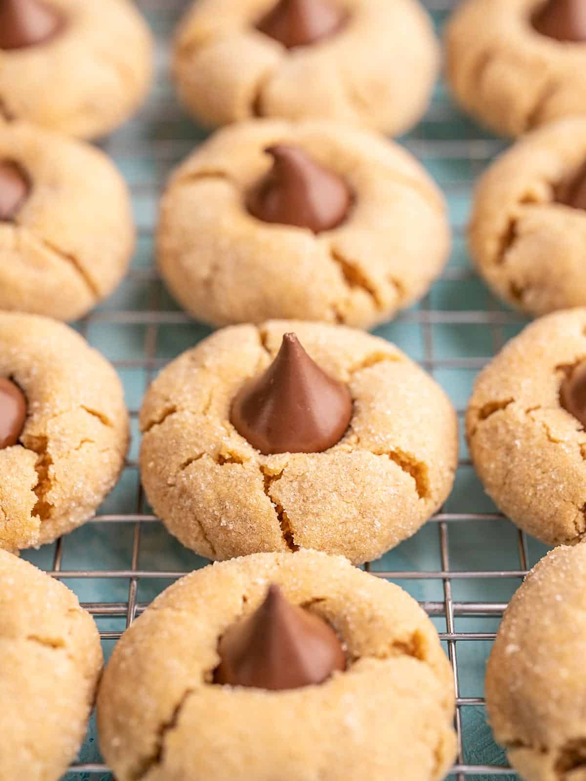 Side view of peanut butter blossoms on a cooling rack, lined up together. 