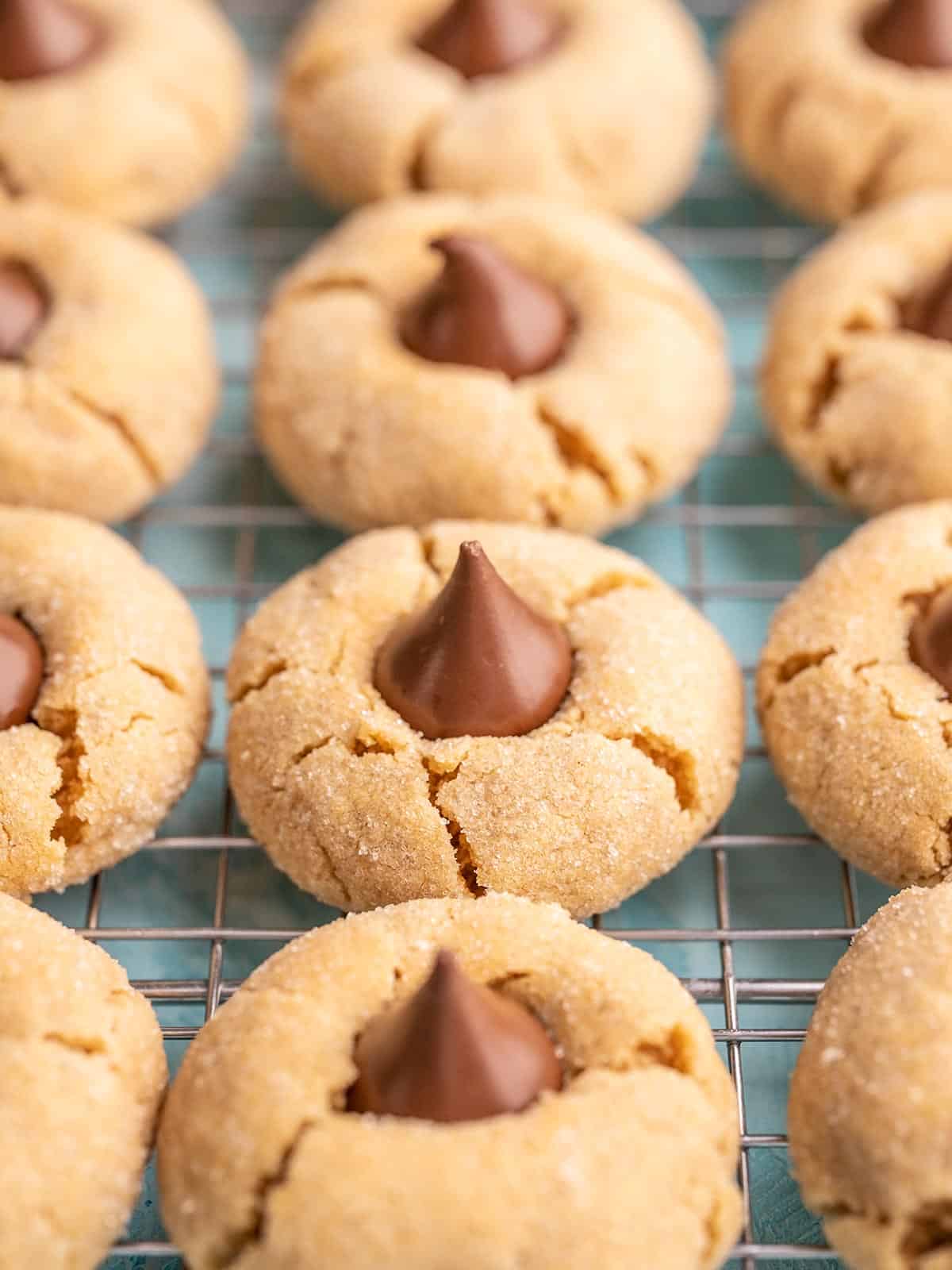 Side view of peanut butter blossoms on a cooling rack, lined up together.