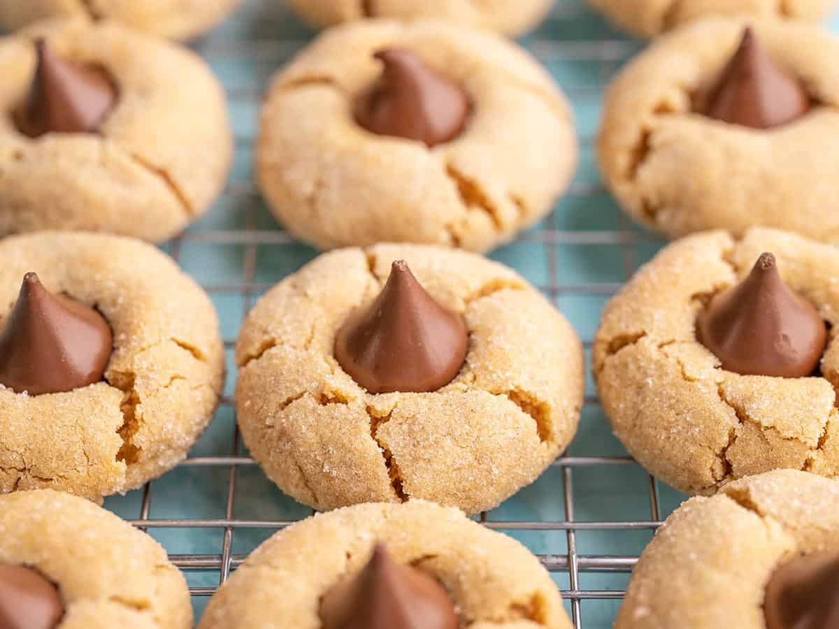 Side view of peanut butter blossoms lined up on a cooling rack. 
