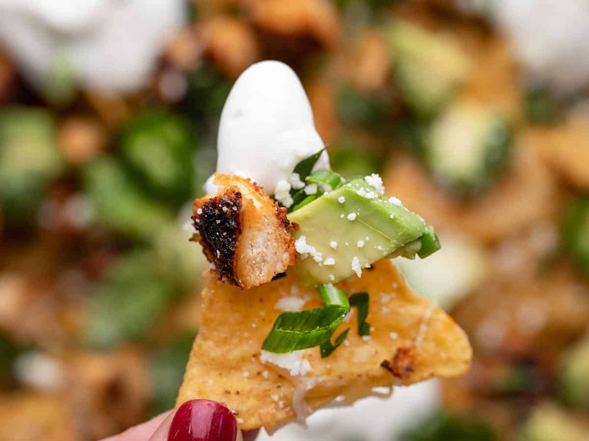 Close up of a chicken nacho chip with a touch of sour cream.