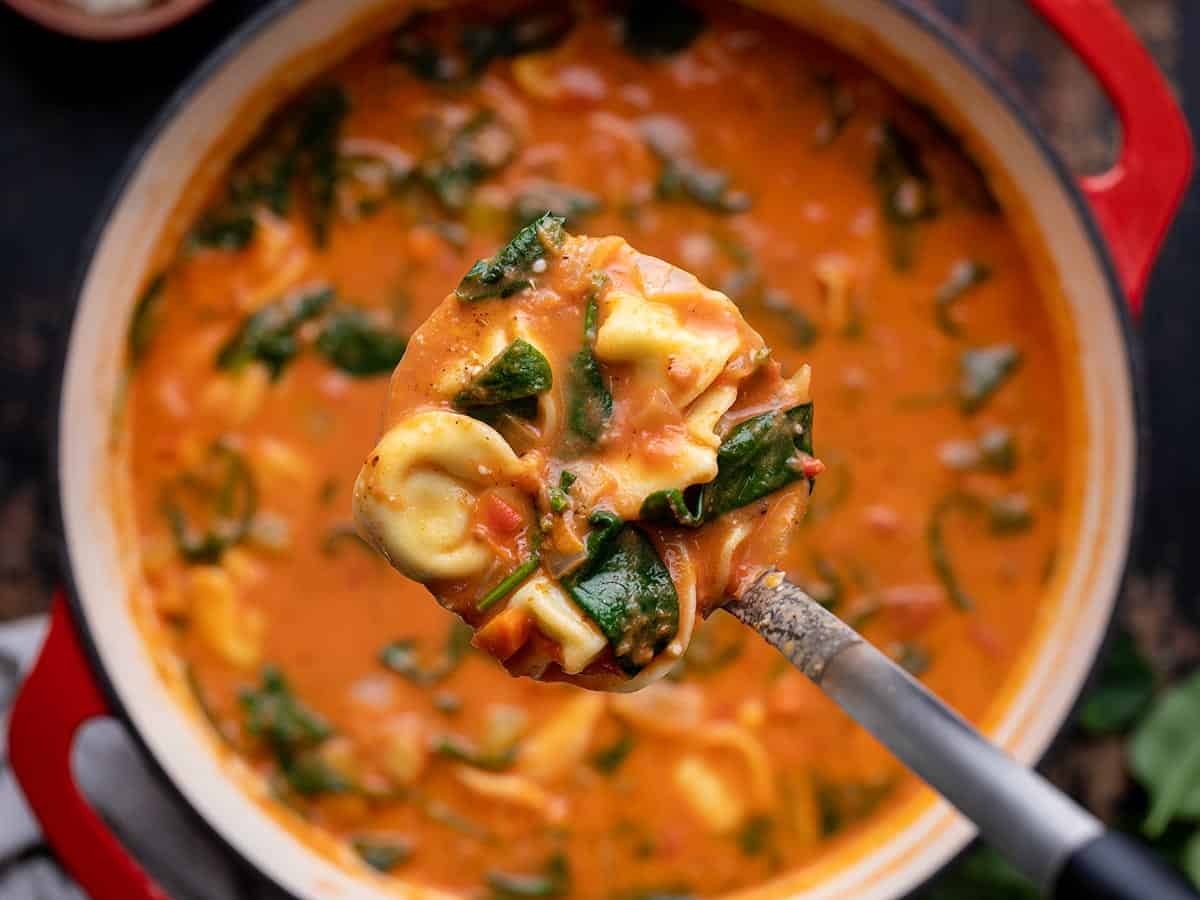 Overhead view of a ladle full of creamy tortellini soup hovering over the pot. 