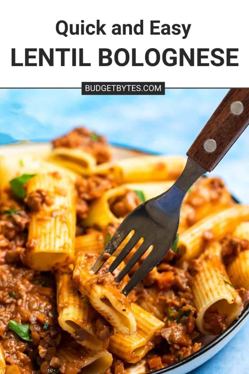 A fork piercing a piece of pasta covered in lentil bolognese.
