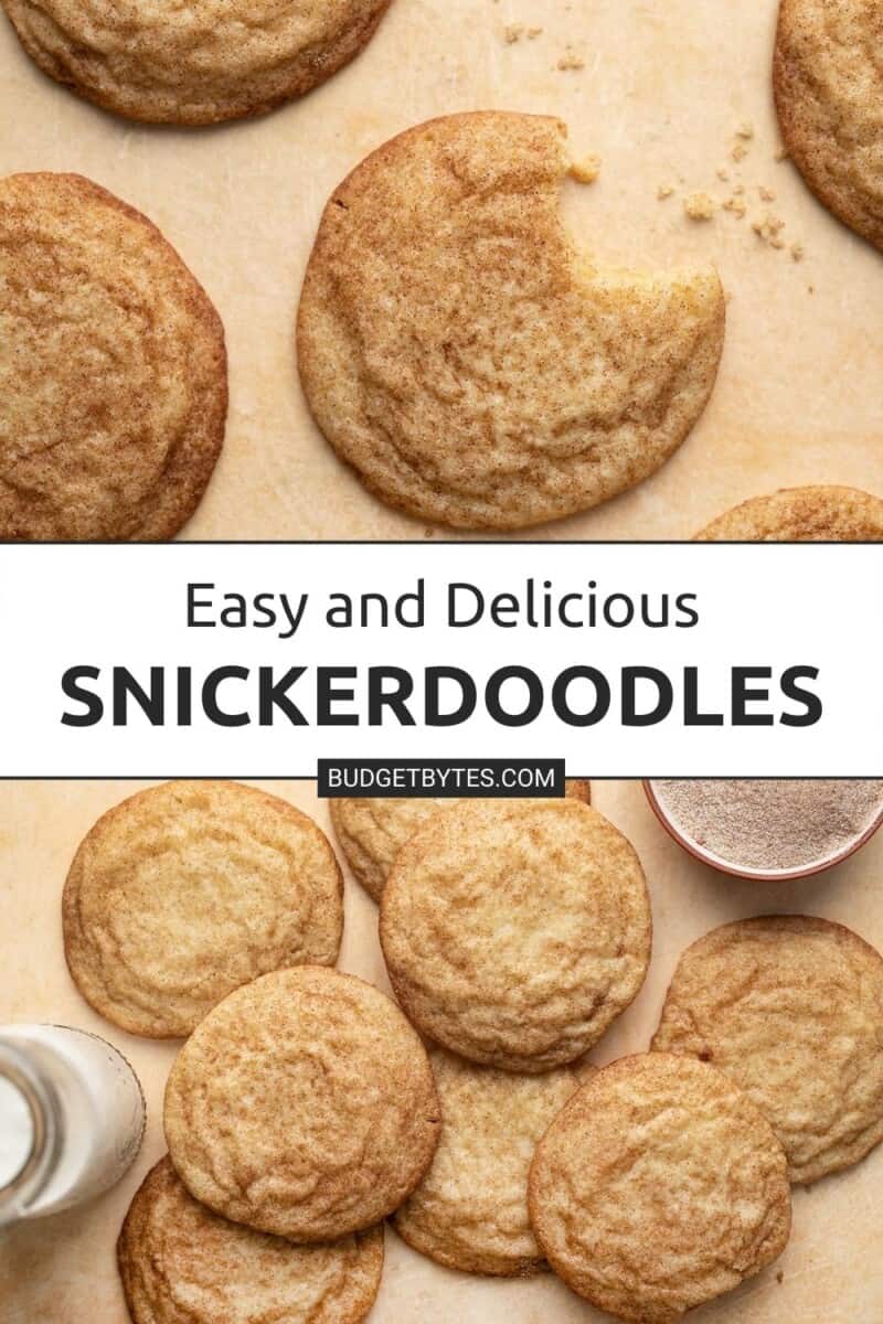 Overhead shot of snickerdoodles.