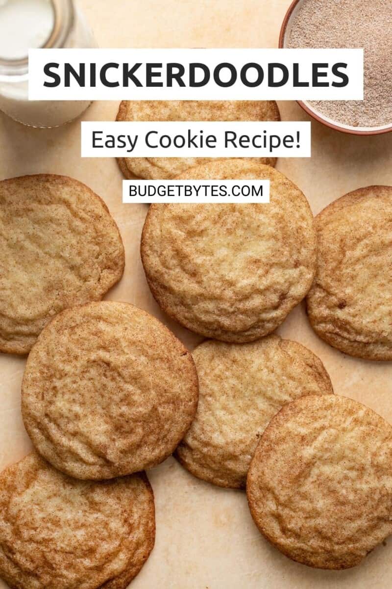 Overhead shot of snickerdoodles.