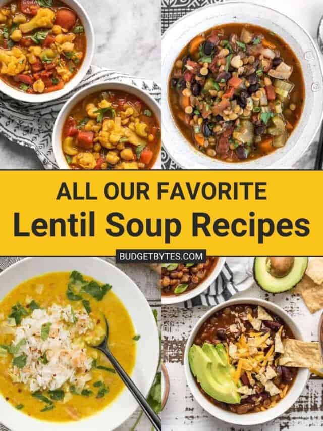 Best Lentil Soup Recipes - Budget Bytes