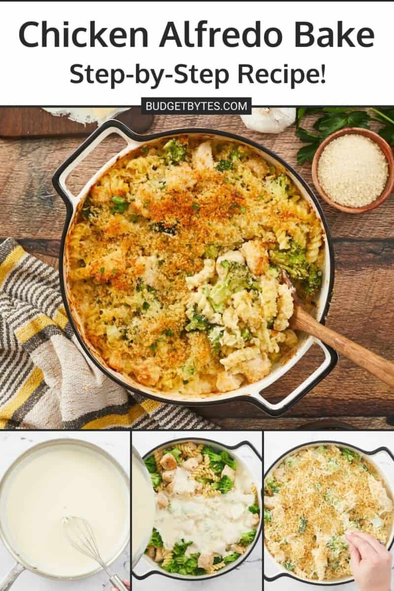 A large vertical image. At the top of the image is a white text block with black text that says " chicken alfredo bake" and "step by step recipe" under is a smaller black box with white text that says, "budgetbytes.com." Under the text is a large image of