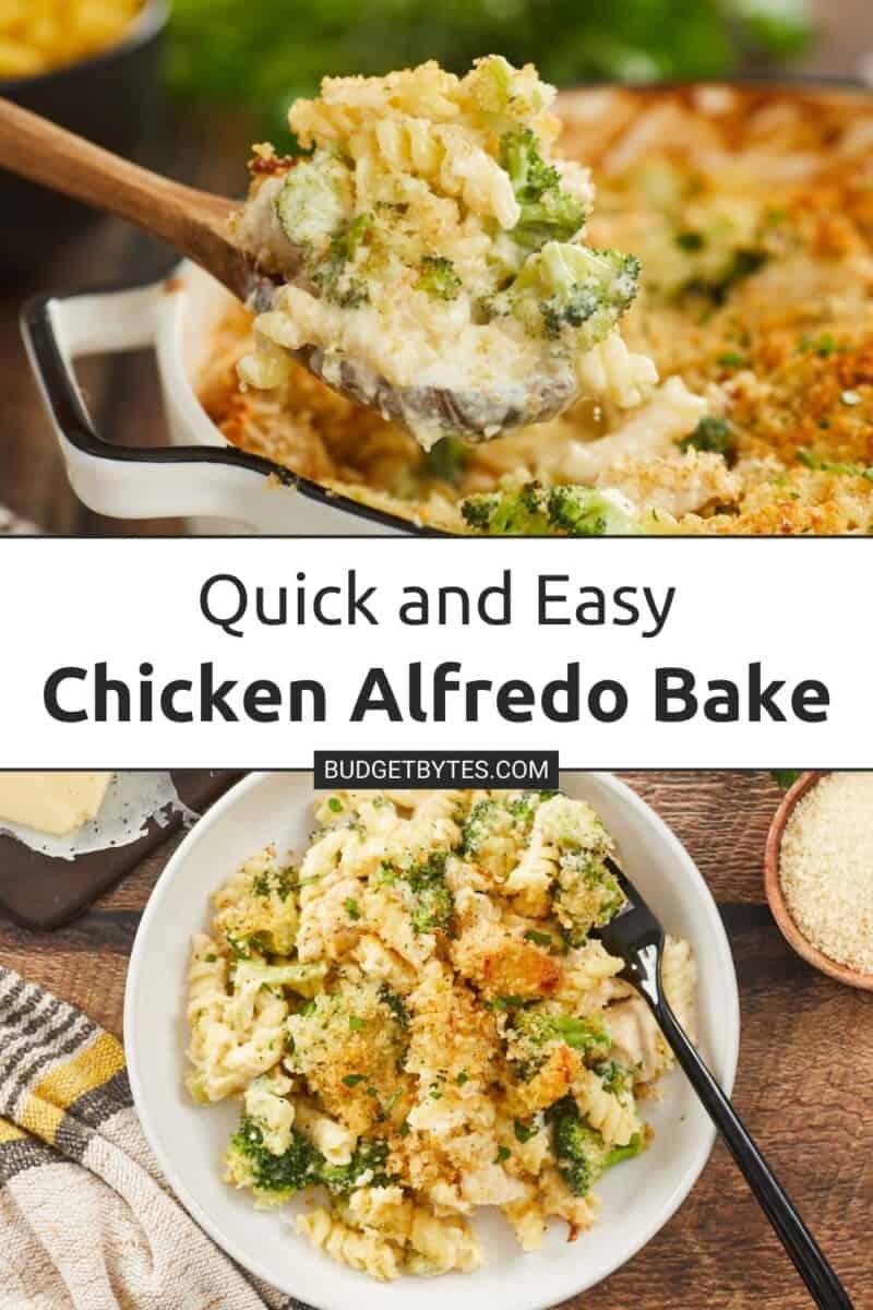 A large vertical image. In the center is a white text box with black text that reads, "quick and easy chicken alfredo bake." Above the text is a horizontal image ofA side view of a baked chicken alfredo pasta with broccoli. A wooden spoon is hovering over the casserole with a heaping spoonful of the creamy pasta, chicken and broccoli dish. Behind blurred in the background is a black bowl of uncooked rotini pasta and a bunch of Italian parsley. Under the text is a horizontal image of