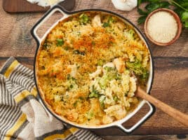 A golden brown chicken alfredo bake in a round, white enamel casserole dish on a wooden background surrounded by a yellow and gray striped dish towel in the bottom left, a wooden cutting board with shaved Parmesan cheese in the top left corner, a clove of garlic, sprigs of parsley, and small wooden bowl of breadcrumbs in the top right corner, and a small wooden bowl of uncooked pasta in the bottom right corner. The right side of the casserole has been stirred with a large wooden spoon that's resting in the dish.