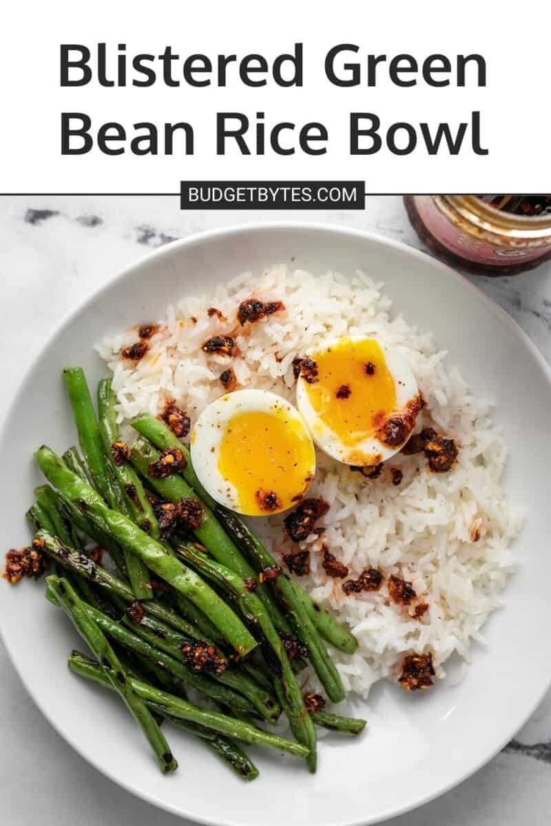 Blistered green bean rice bowl.