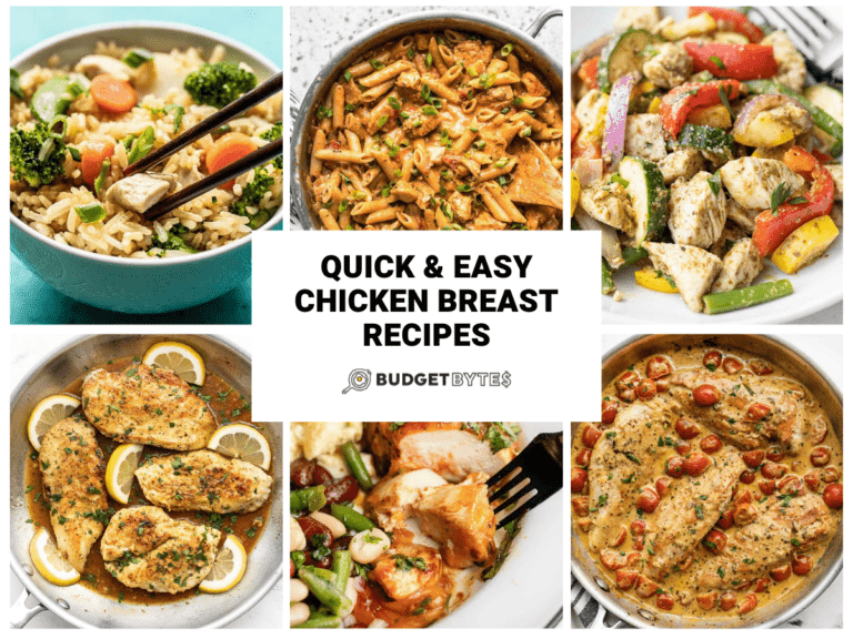 Quick & Easy Chicken Breast Recipes - Budget Bytes