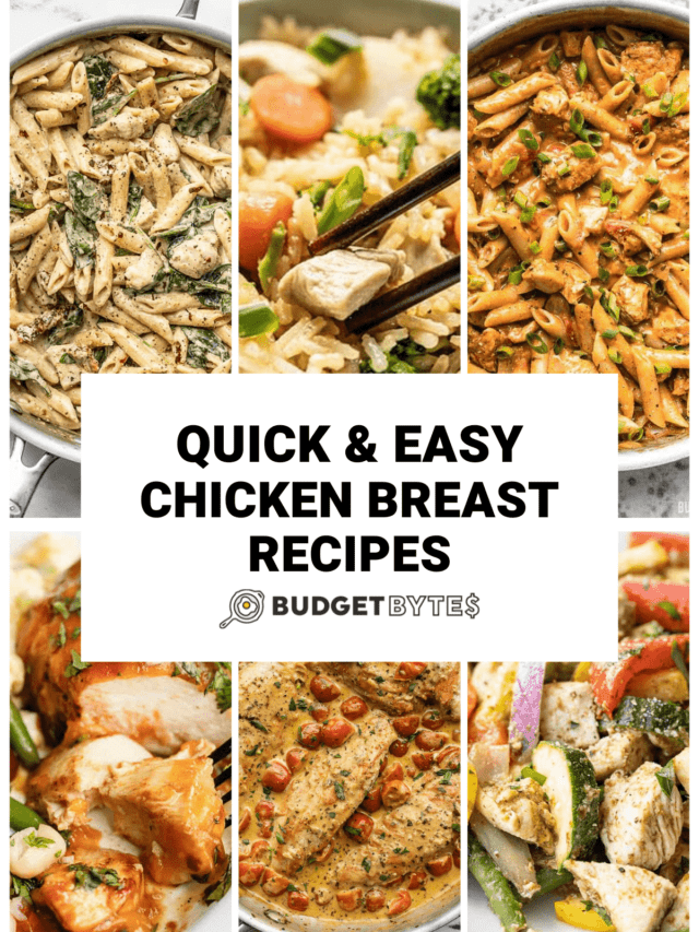 Quick and Easy Chicken Breast Recipes - Budget Bytes