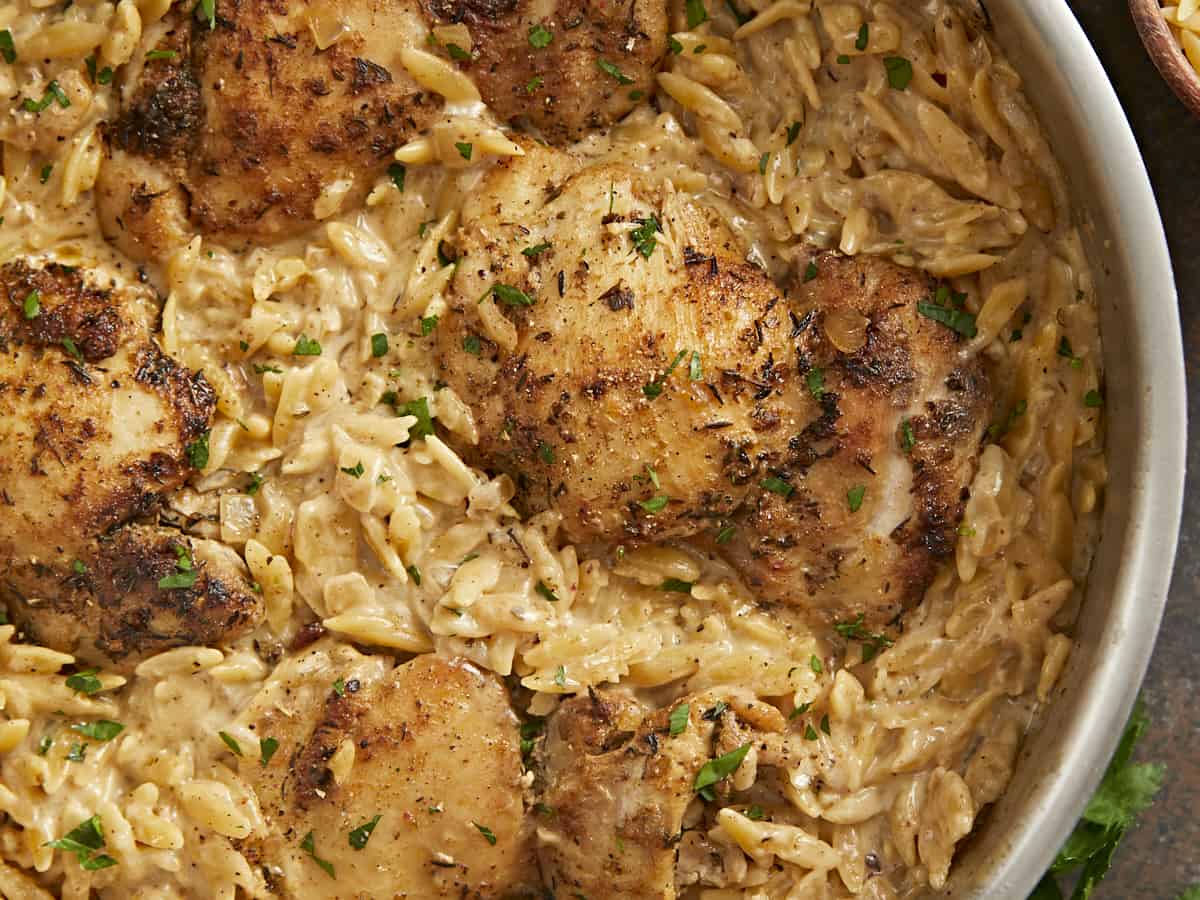 Close up shot of Creamy Chicken And Orzo.