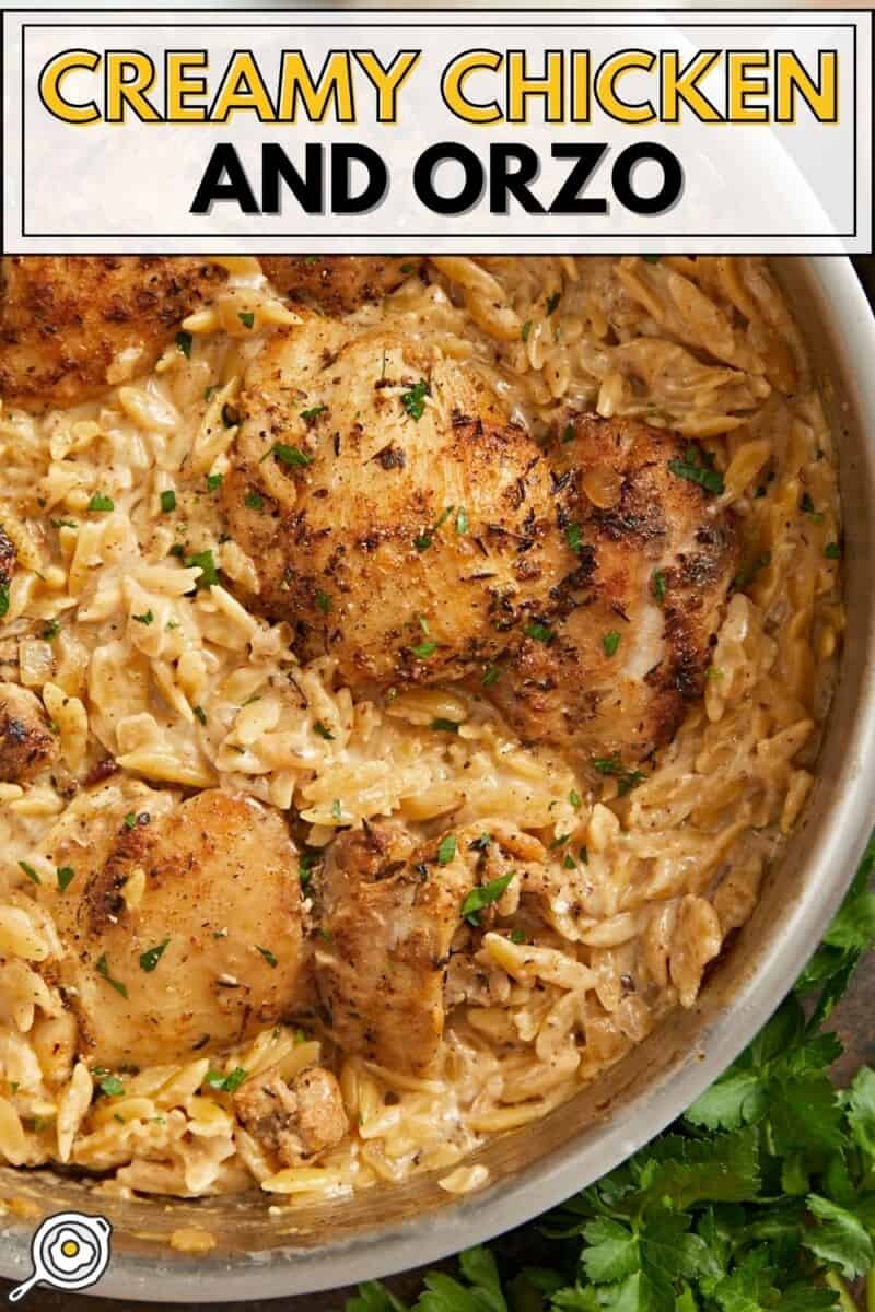 Close up overhead view of Creamy Chicken and Orzo in a skillet.