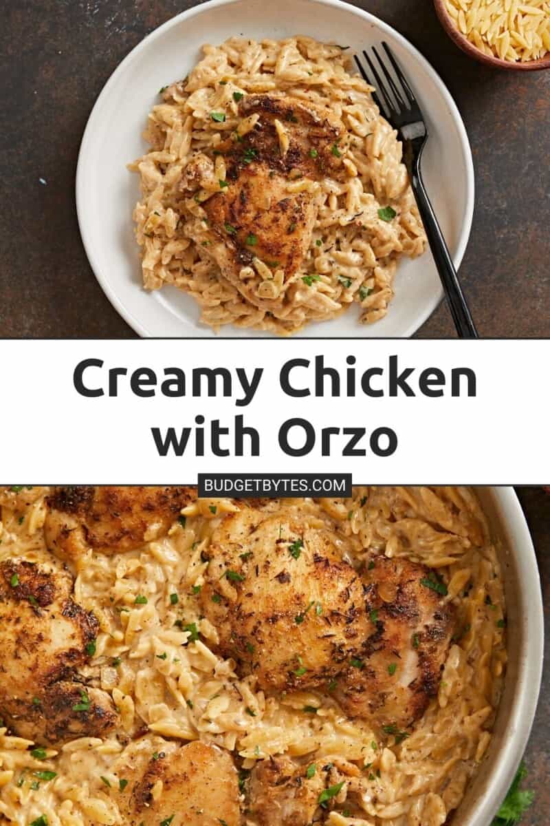 Collage of an overhead shot of Creamy Chicken and Orzo in a white bowl with three process shots under it.