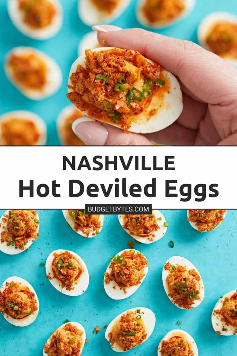 Close up of hand holding a Nashville Hot Deviled Egg with other eggs in the background on an aqua backdrop.