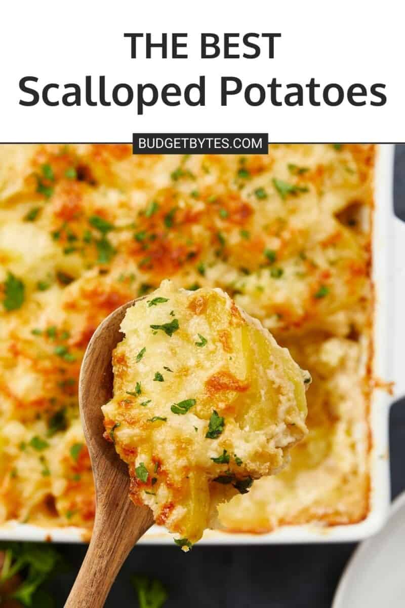 Overhead shot of scalloped potatoes in a white casserole dish with a wooden spoon over it holding a spoonful of potatoes.