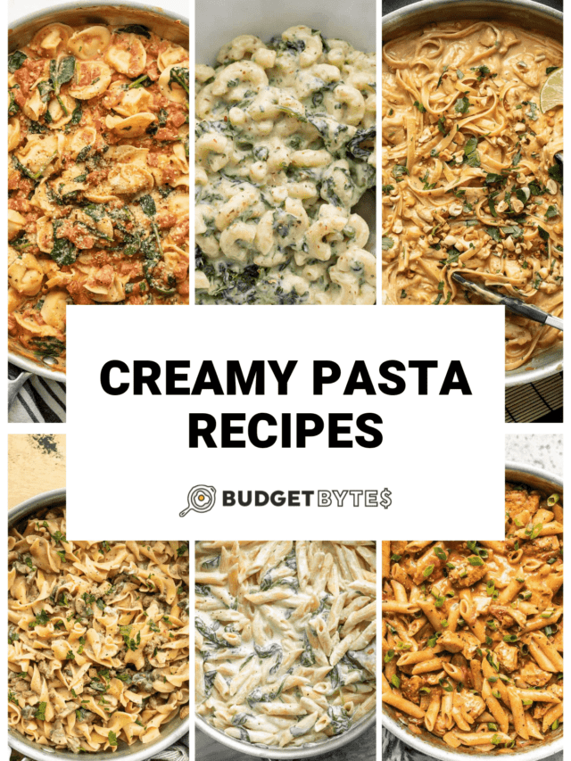 Creamy Pasta Recipes
