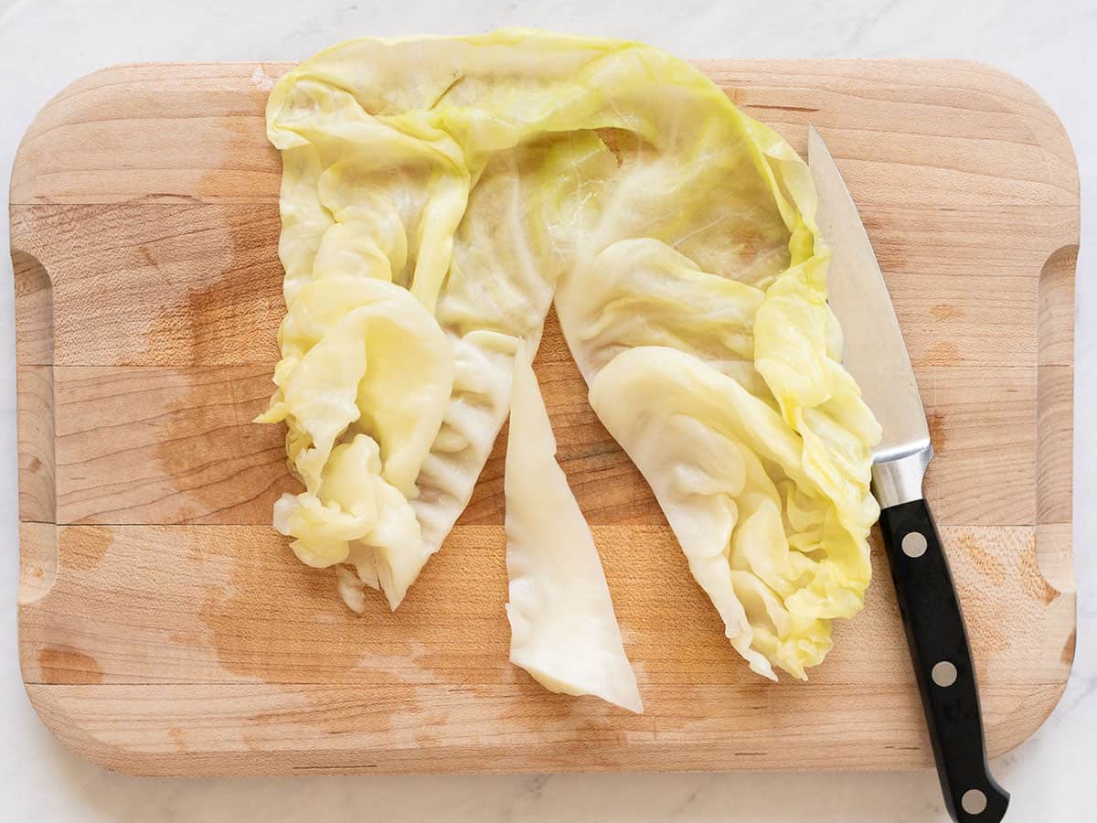 Overhead view of parboiled cabbage leaves with middle stem being removed with a pairing knife.